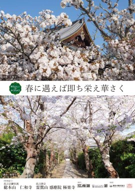 「あたらしいコトみつけよう」第4回「春に遇えば即ち栄え華さく」ポスターイメージ 「あたらしいコトみつけよう」第4回「春に遇えば即ち栄え華さく」ポスターイメージ