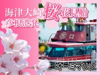日本のさくら名所100選の「海津大崎」へのお花見クルーズを4月1日(火)から4月13日(日)の期間限定で運航開始！