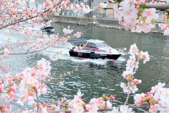 桜のトンネル目黒川でファーストクラスなお花見体験を。「目黒川お花見CHANDONクルーズ」1月31日予約開始