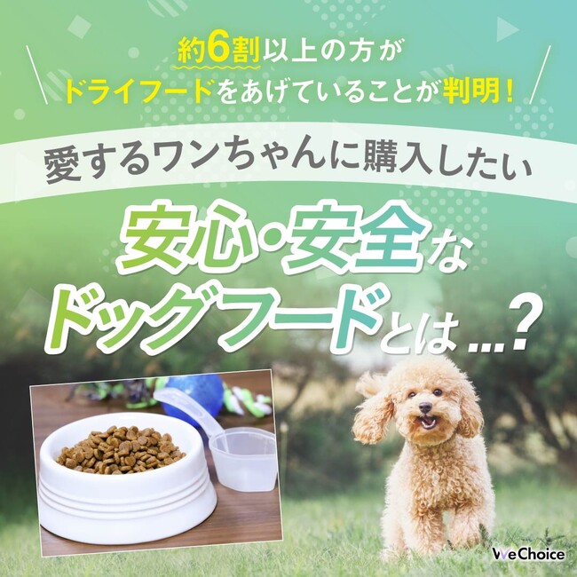 【約6割以上の方がドライフードをあげていることが判明！】愛するワンちゃんに購入したい安心・安全なドッグフードとは...？