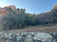 森林活用を目指した面白く素敵なコレボレーション企画　不動産ファンドを活用した森林活用プロジェクト　株式会社リムズキャピタル×株式会社シシガミカンパニー