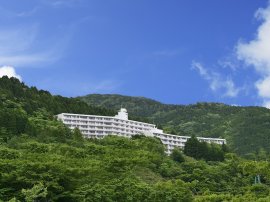 ミスティイン仙石原 ミスティイン仙石原