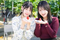 ひたちなかの大型観光いちご農園がその場で食べられるいちご大福自作セットの提供開始　平日予約特典やフォトコンテストも実施！