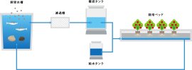 「アクアポニックス」の仕組み 「アクアポニックス」の仕組み