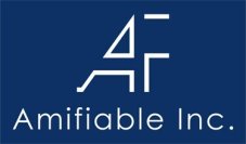 アミフィアブル株式会社の社外取締役に元日本アイ・ビー・エム株式会社執行役員兼金融事業部門長の田中良治氏が就任