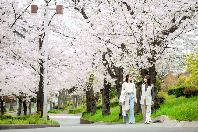 大阪の観光スポット25ヵ所以上が入場無料の観光パスで桜花爛漫の大阪・ベイエリアを遊びつくす!!「大阪楽遊パス付き 大阪ベイエリアの春旅プラン」販売