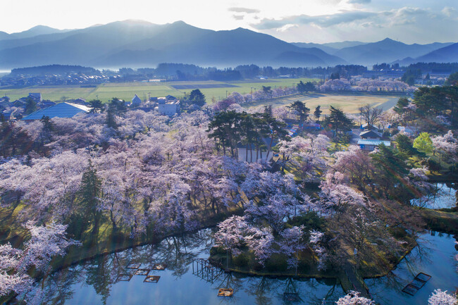 五泉の桜が香る、癒しの空間ミスト『優桜香（ゆうおうか）』 新発売（新潟県五泉市）