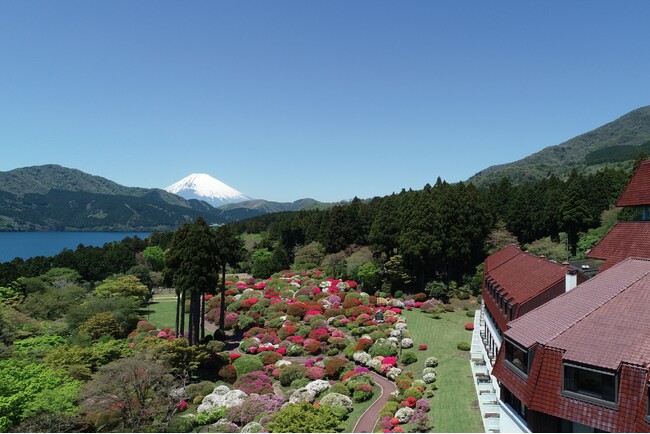 ホテル開業77周年を記念して、フェア期間の庭園見学料を無料に　“小田急 山のホテル”で 「つつじ・しゃくなげフェア2025」開催