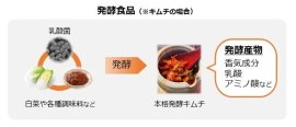 図1 発酵食品の発酵感が生じるイメージ 図1 発酵食品の発酵感が生じるイメージ