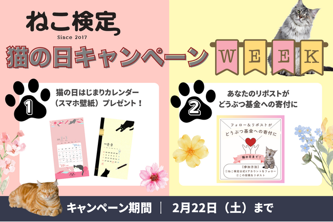2月22日は猫の日！！『ねこ検定 猫の日キャンペーンウィーク』スタート！