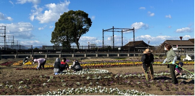 明和町斎宮・花ばたけで作る史跡活用の好循環