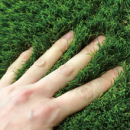 ふわふわな柔らかさ ふわふわな柔らかさ