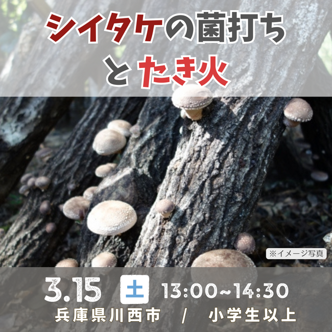シイタケの菌打ちとたき火<兵庫県川西市>