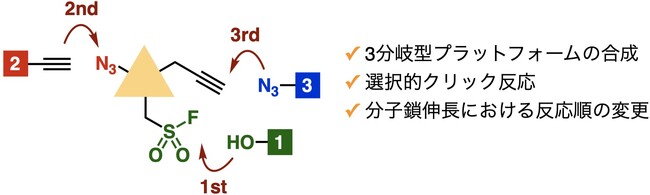 ワンポットで3種類のクリック反応を連続的に実行可能に ～わずか3工程で高機能分子を合成～