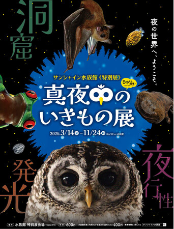 サンシャイン水族館 特別展「真夜中のいきもの展」＊3月14日(金)～11月24日(月・振)＊