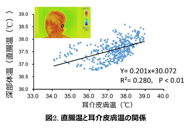 人の耳介部の皮膚温度から深部体温を推定できる可能性を発見 ～簡便な暑熱対策の確立に向けて～