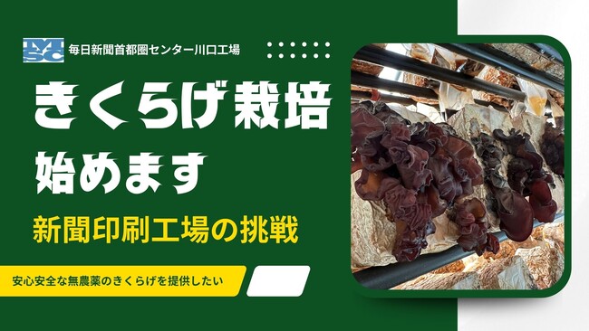 埼玉県川口市の新聞印刷工場がきくらげ栽培に新規参入、本格栽培始まる【東日印刷グループ 毎日新聞首都圏センター】