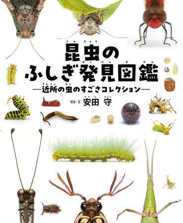 身近な昆虫の感動ベストセレクション、『昆虫のふしぎ発見図鑑　近所の虫のすごさコレクション』発刊！
