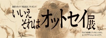 【すみだ水族館】すみだ水族館にいるのはアシカ?アザラシ?
「いいえそれはオットセイ展」開催