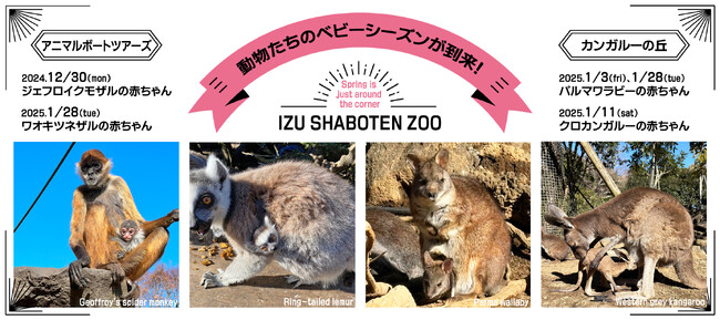 伊豆シャボテン動物公園で、動物たちのベビーシーズンが到来!