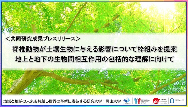 脊椎動物が土壌生物に与える影響について枠組みを提案：地上と地下の生物間相互作用の包括的な理解に向けて〔高知大学,北海道大学,森林研究・整備機構森林総合研究所,岡山大学,東京大学,福井県立大学〕