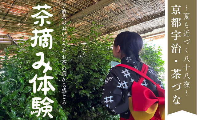 京都宇治・茶づな お茶摘み体験 2025/4/12(土)~開催!