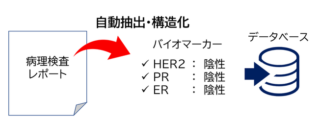 医療機関の病理検査レポート等から約10万件のバイオマーカー情報の自動抽出と構造化に成功