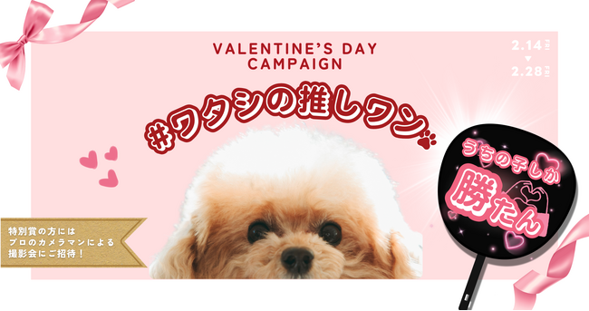 うちの子しか勝たん！バレンタインに推し活「#ワタシの推しワン」フォトキャンペーンを開催