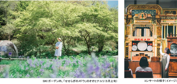 ROKKO森の音ミュージアム「森の音ボタニカルフェア」スイセン、オオヒナユリ、オオデマリなど六甲山のナチュラルガーデンのフラワーシーズン 2025年3月15日（土）～5月21日（水）