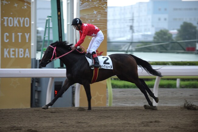 “大井の帝王”的場 文男騎手が引退~51年5か月に渡る騎手生活に幕~
