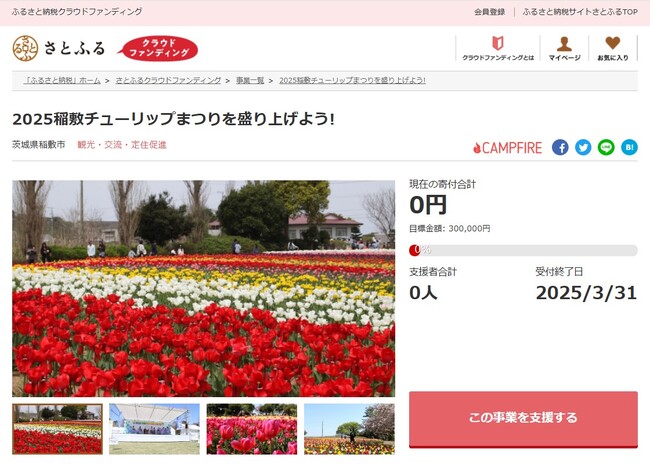 茨城県稲敷市とさとふる、2025稲敷チューリップまつり開催のため寄付受け付けを開始