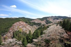 吉野山 吉野山