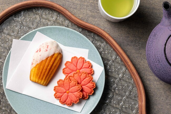 オールインクルーシブのリゾートホテルで「桜」を楽しむ。【グランドメルキュール】【メルキュール】5つのホテルが桜を楽しむ宿泊プランや企画の予約受付を開始