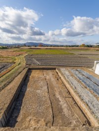 東院南方遺跡の発掘調査(平城第667次調査)成果について