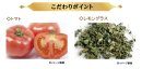 こだわりポイント こだわりポイント