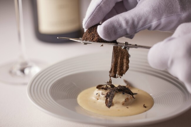 【テール・ド・トリュフ 東京】春の息吹を感じる美食体験　（2月・3月限定）