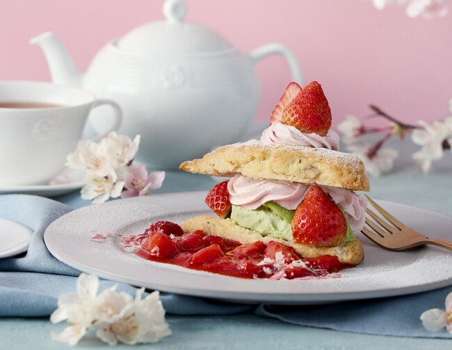 【Afternoon Tea】お花見気分を楽しむ “桜スイーツ＆ティー” が新登場！桜の花びらをイメージしたデコレーションの「苺とさくらのスコーンショートケーキ」など