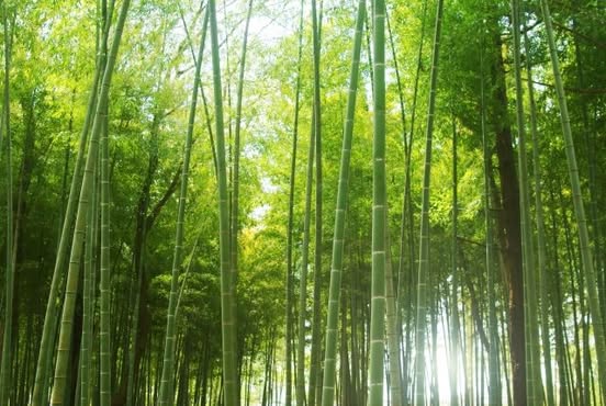 【2/19より】「明日にチャレンジ助成金」の申請サポートを開始しました【助成金なう】