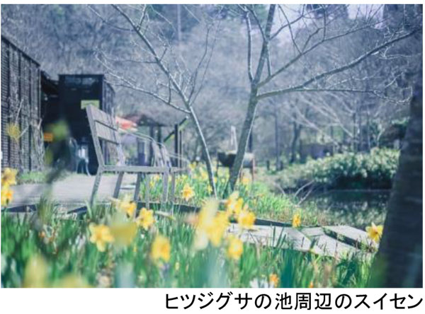 ROKKO森の音ミュージアム ミュージアム&ガーデン年間イベントスケジュール発表