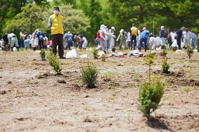北海道・木育（もくいく）フェスタ２０２５第75回北海道植樹祭開催決定