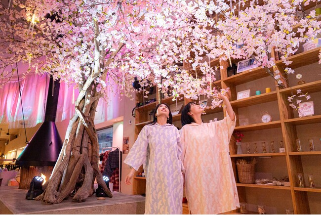 おふろcafe utataneに、ひと足早く春がきた！　桜風呂や桜舞い散るお花見ラウンジが登場。カフェでは人気の「あまりん」を使った春メニューを展開