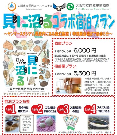 大阪市立自然史博物館　第55回特別展「貝に沼る -日本の貝類学研究300年史-」＜オリジナルグッズ・コラボ企画・関連イベントのご紹介＞