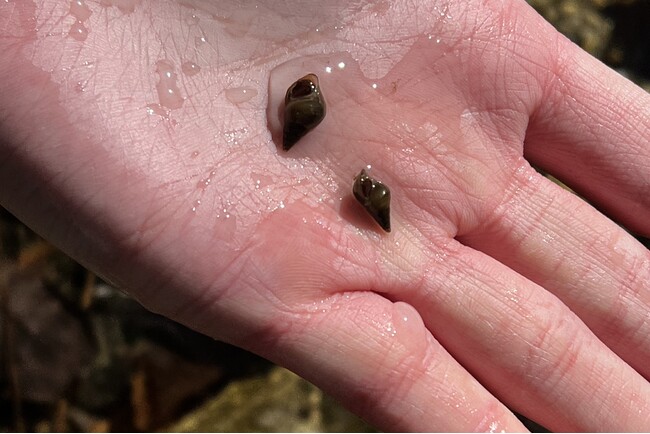 再びホタルの乱舞を観るために！　埼玉県 吾野地区まちづくり推進委員会×埼玉環境科学国際センター×休暇村奥武蔵の三者による「吾野地区ホタル保護プロジェクト」が始動！
