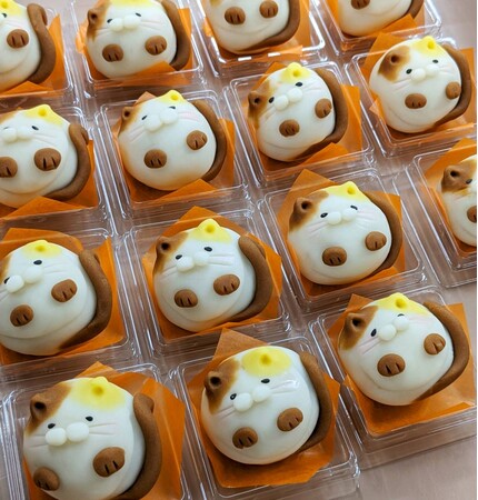 2月22日の「にゃんにゃんにゃん」の猫の日をイメージした、猫がモチーフのあんこの和菓子「にゃん子」期間限定で販売