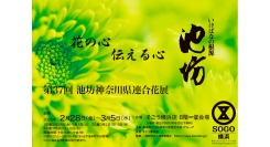 そごう横浜店で開催　花の心 伝える心「第３７回 池坊神奈川県連合花展」