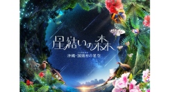 最新作『星結いの森-沖縄・国頭村の星空-』2/28(金)より上映開始！