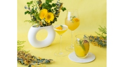 国際女性デーにちなみ「ミモザ」をモチーフにした限定カクテルが登場！【三井ガーデンホテル横浜みなとみらいプレミア】