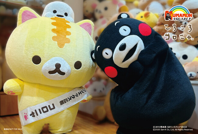 サンエックス広報の「コロニャ」がくまモンの誕生日イベントに登場！サンエックス制作のくまモンぬいぐるみを直接お届け