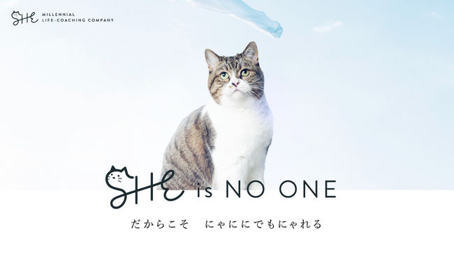 SHElikesで「＃在猫ワーク」を叶えよう！CM出演ねこ「にぼし」が、猫の日にSHEの1日イメージキャラクターに就任