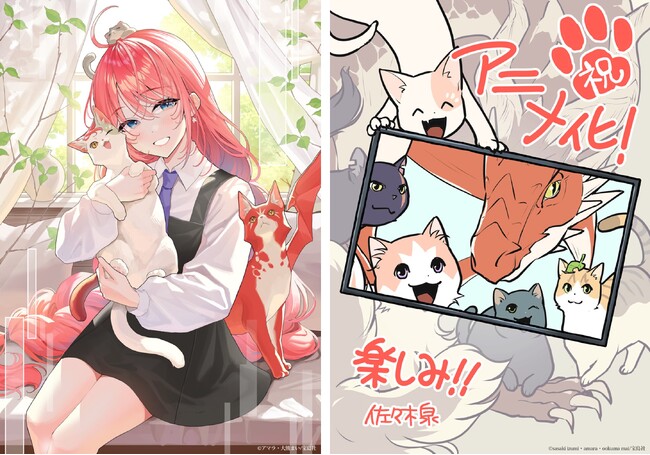 【シリーズ累計100万部突破のファンタジー】『猫と竜』がついにTVアニメ化決定！